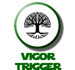 Vigor Trigger tree fertilizer shrub revive treatment